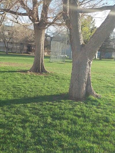 Spencer Garrett Park - Aurora, CO