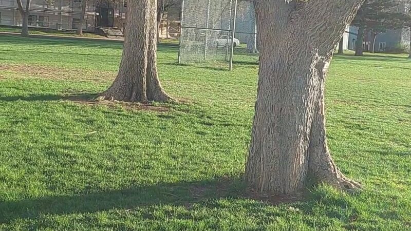 Spencer Garrett Park - Aurora, CO