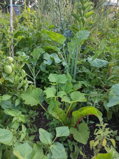 Spencer Garrett Park - Aurora, CO