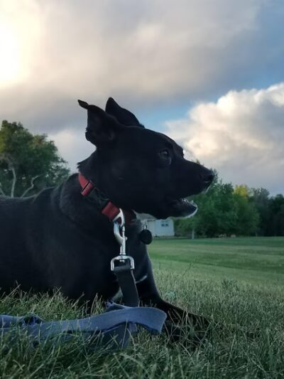 Summer Valley Park - Aurora, CO