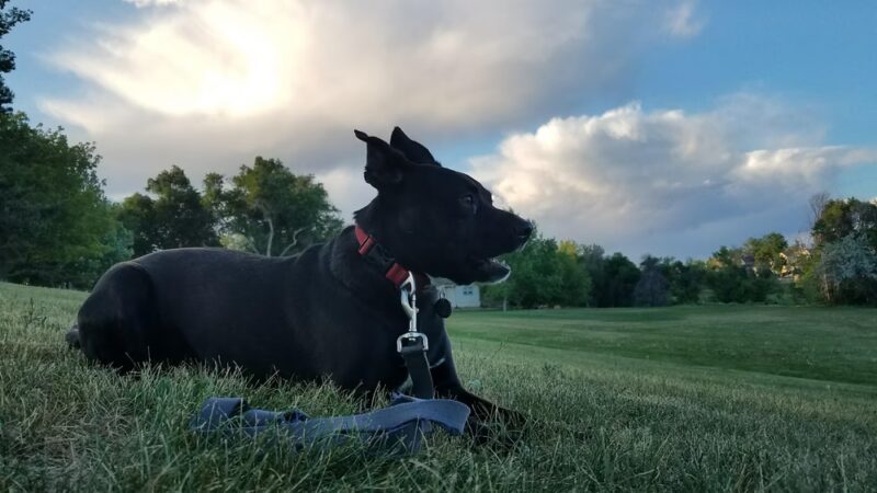 Summer Valley Park - Aurora, CO