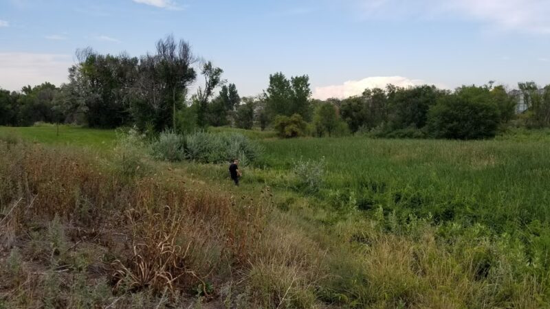 Summer Valley Park - Aurora, CO