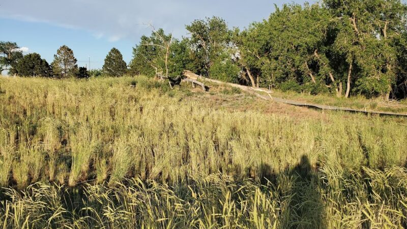 Triple Creek Trailhead - Aurora, CO