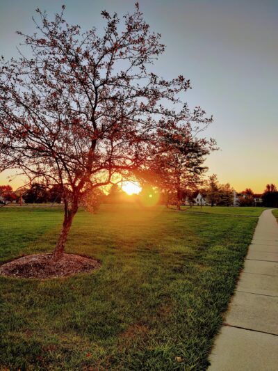 Brooklyn Park - Aurora, IL