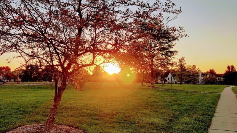 Brooklyn Park - Aurora, IL