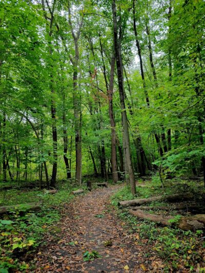 Oakhurst Forest Preserve - Aurora, IL