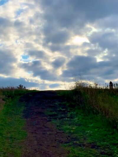 Oakhurst Forest Preserve - Aurora, IL