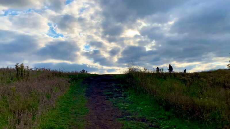 Oakhurst Forest Preserve - Aurora, IL
