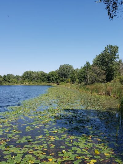 Oakhurst Forest Preserve - Aurora, IL