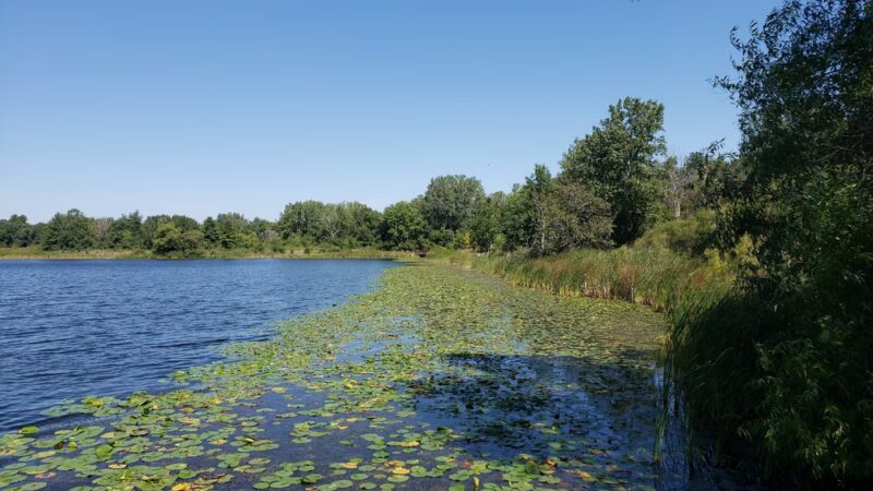 Oakhurst Forest Preserve - Aurora, IL