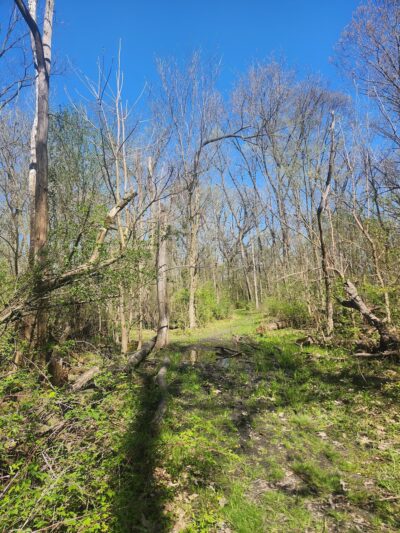 Oakhurst Park - Aurora, IL