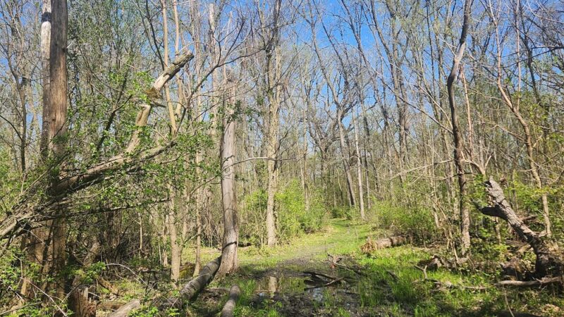 Oakhurst Park - Aurora, IL