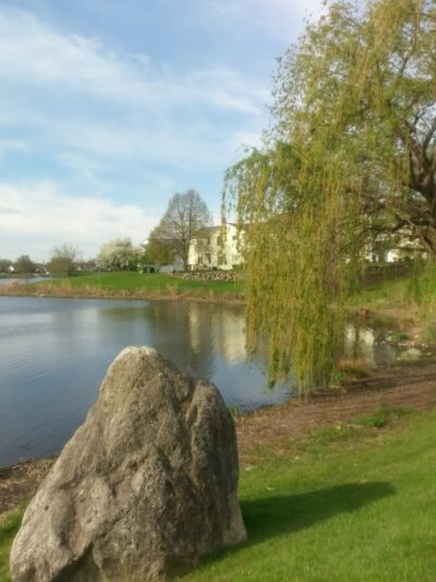 Spring Lake Park - Aurora, IL
