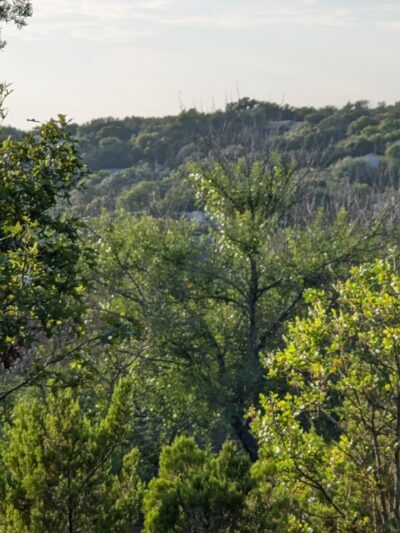 Allen Park - Austin, TX