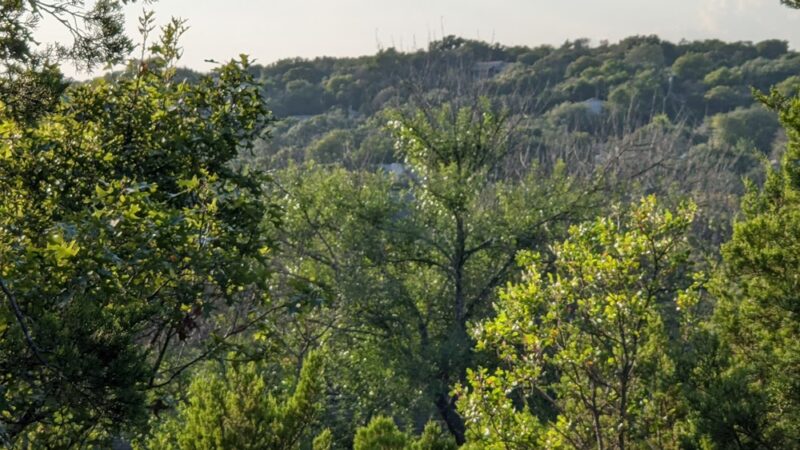Allen Park - Austin, TX