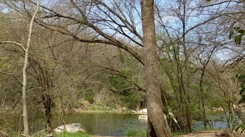 Barton Creek Greenbelt - Austin, TX