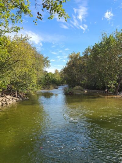Barton Creek Greenbelt - Austin, TX