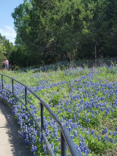 Brushy Creek trail head - Austin, TX