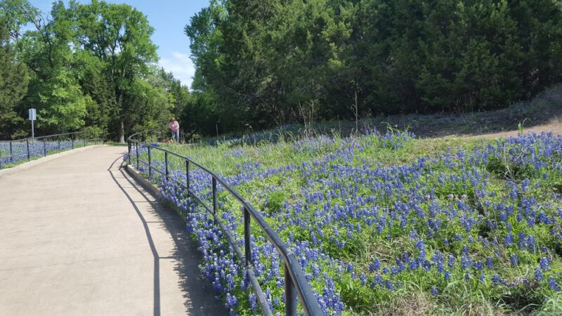 Brushy Creek trail head - Austin, TX