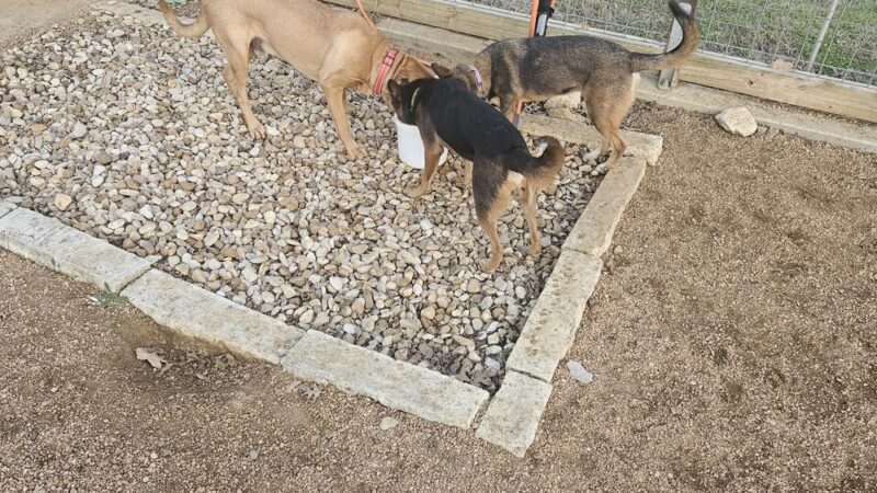 Jake’s Place - Austin, TX