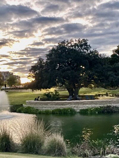 The Grove Signature Park - Austin, TX
