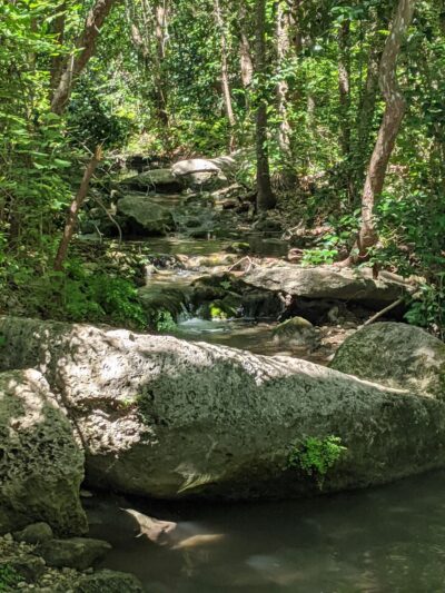 Woodlands Park - Austin, TX