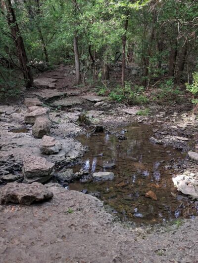 Yett Creek Neighborhood Park - Austin, TX