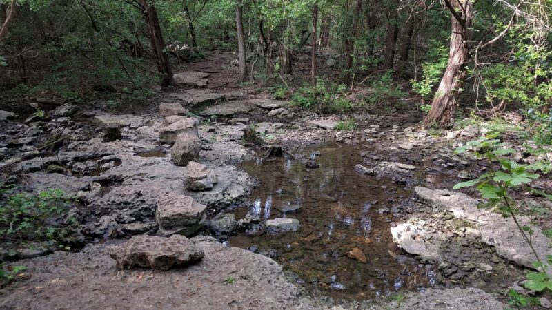 Yett Creek Neighborhood Park - Austin, TX