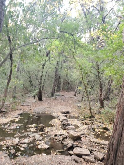 Yett Creek Neighborhood Park - Austin, TX