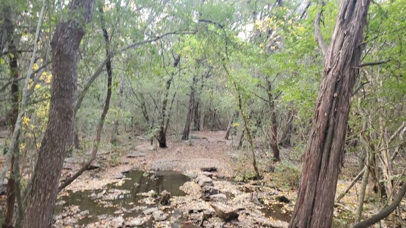 Yett Creek Neighborhood Park - Austin, TX