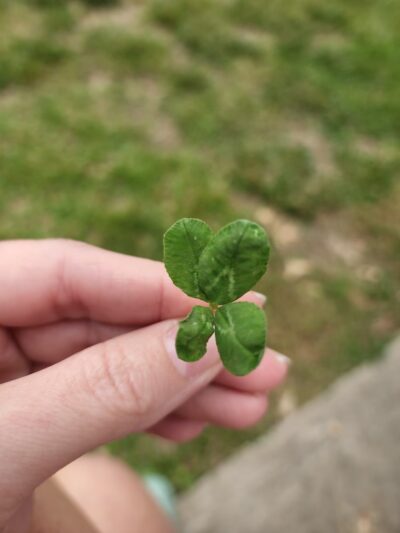 Bower Park - Ava, IL