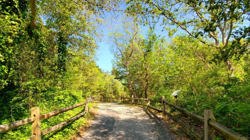 Avalon Dunes and Beach Trail - Avalon, NJ