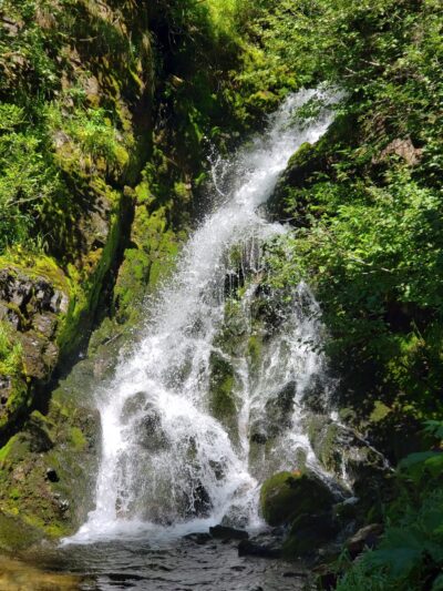 Roland Trail Head - Hiawatha Trail - Avery, ID