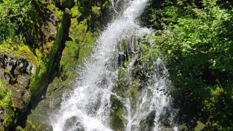 Roland Trail Head - Hiawatha Trail - Avery, ID
