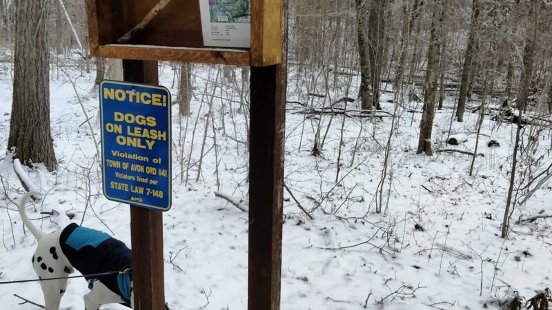 Huckleberry Hill Recreation Area - Avon, CT