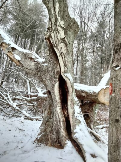 Huckleberry Hill Recreation Area - Avon, CT