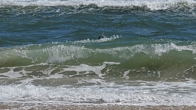 Boardwalk Beach Access - Avon, NC
