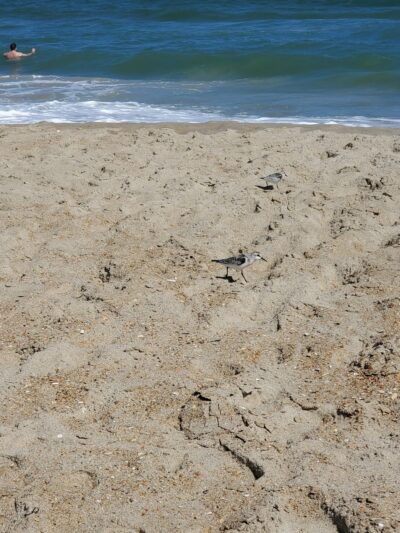 Boardwalk Beach Access - Avon, NC