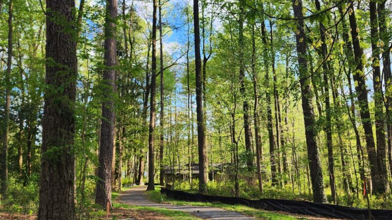 Cobbs Creek Trail - Avondale Estates, GA