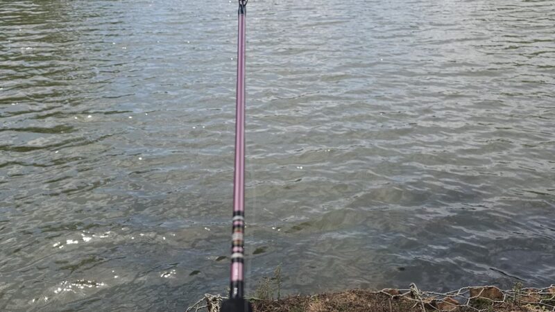 Cobbs Creek Trail - Avondale Estates, GA