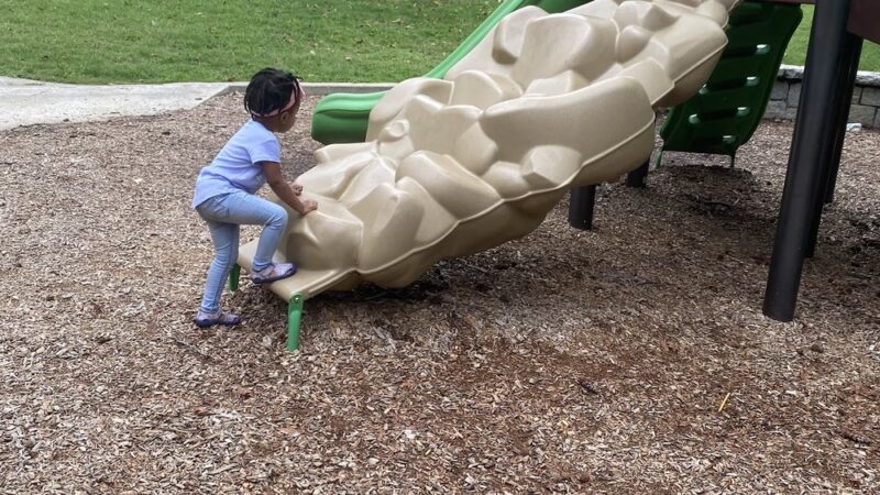 Willis Park - Avondale Estates, GA