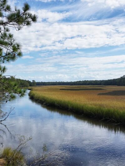 Awendaw Passage- Palmetto Trail - Awendaw, SC
