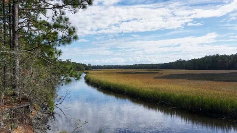 Awendaw Passage- Palmetto Trail - Awendaw, SC