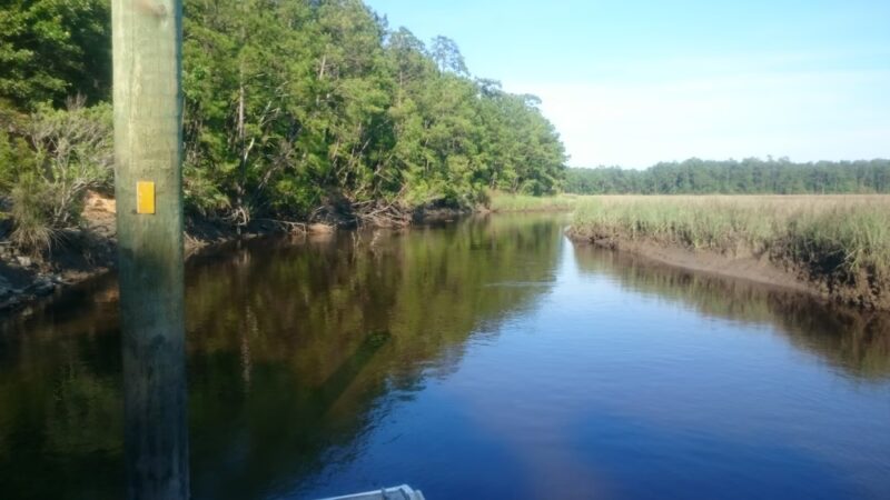 Awendaw Passage- Palmetto Trail - Awendaw, SC