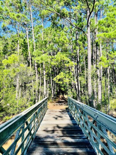 Awendaw Passage- Palmetto Trail - Awendaw, SC