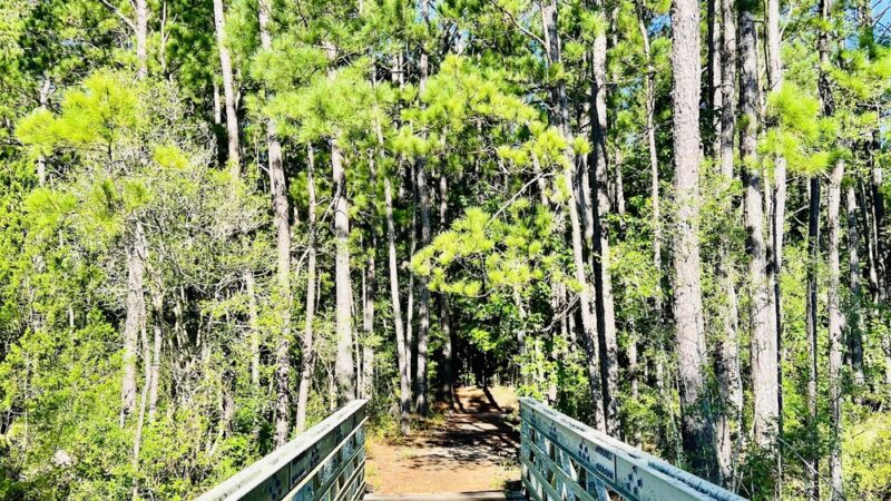 Awendaw Passage- Palmetto Trail - Awendaw, SC