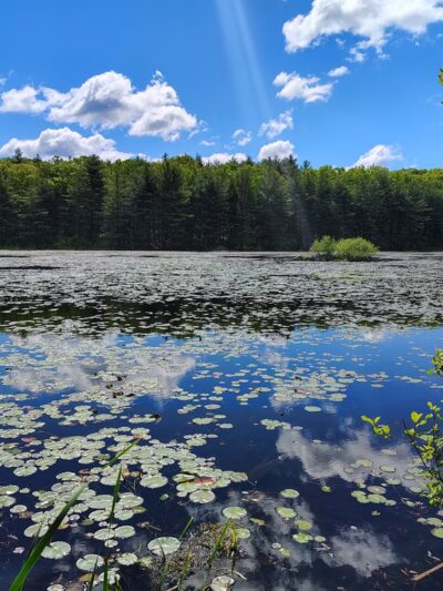 Ayer Conservation Trails - Ayer, MA