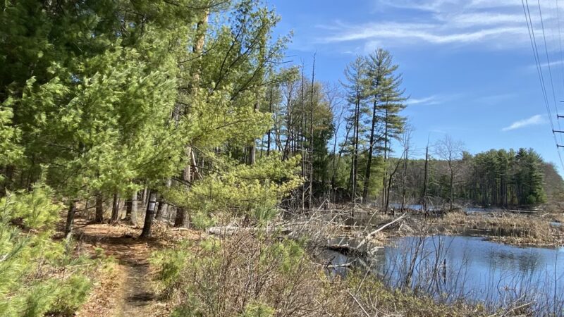 Ayer Conservation Trails - Ayer, MA
