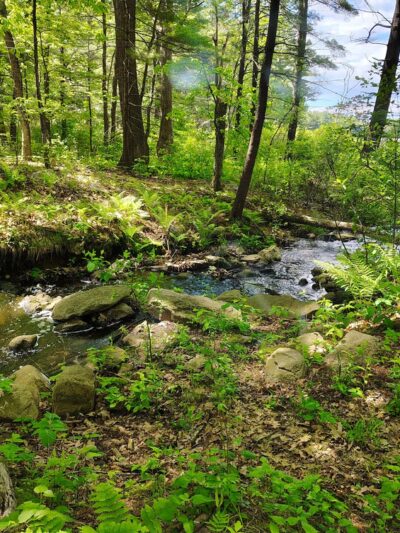 Ayer Conservation Trails - Ayer, MA