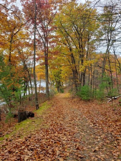 Ayer Conservation Trails - Ayer, MA